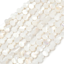 Морская Ракушка Естественных пресноводных оболочки бисер нитей, Горлянка, цвет морской раковины, 10x7.5~8x2~2.7 мм, отверстие : 0.5 мм, около 40 шт / нитка, 15.55'' (39.5 см)