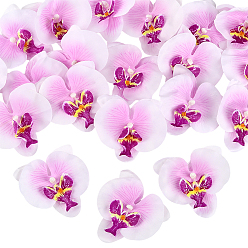 Средняя Орхидея 20шт. шелковая ткань, искусственный цветок фаленопсис, для партии, свадьба, украшение сцены, с пластиковым выводом, средне орхидеи, 86~90x84~85x22.5 мм