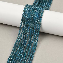 Апатит Природного апатита нитей бисера, граненые, круглые, 3.5 мм, отверстие : 0.6 мм, около 121~124 шт / нитка, 15.28''~15.47'' (38.8~39.3 см)