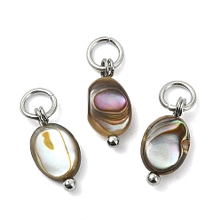 Нержавеющая Сталь Цвет Природные пауа оболочки подвески, плоские овальные подвески с петлями из нержавеющей стали, цвет нержавеющей стали, 304 мм, Перейти кольцо: 11.5~12.5x6.5x2.5~3.5 мм, внутренний диаметр: 5x0.8 мм