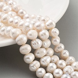 Бежевый Нити из натурального культивированного пресноводного жемчуга, картофель, бежевые, 8~9 мм, отверстие : 0.6 мм, около 22~23 шт / нитка, 6.50 дюйм (16.5 см)