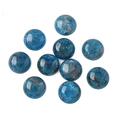 Апатит Натуральный апатит кабошоны, полукруглые / купольные, 11.5~12x4.5~5.5 мм