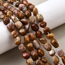 Деревянное Окаменение Природные окаменелое дерево бисер пряди, самородки, упавший камень, 5~7x5~8x5~8 мм, отверстие : 1.2~1.5 мм, около 47 шт / нитка, 15.51 дюйм (39.4 см)