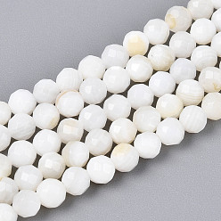 Кремово-белый Естественных пресноводных оболочки бисер нитей, круглые, граненые, кремово-белые, 3.5~4.5 мм, отверстие : 0.6 мм, около 96~100 шт / нитка, 14.57~14.96 дюйм (37~38 см)
