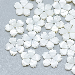 Морская Ракушка Бисера пресноводных оболочки, цветок, цвет морской раковины, 10x10x1.5 мм, отверстие : 1 мм
