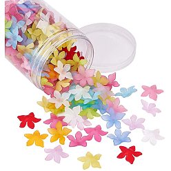 Mixed Color Translucent Acrylic Beads, Frosted, Flower, Mixed Color, 29x27x8mm, Hole: 2mm, about 200pcs/box