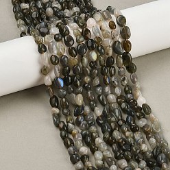 Лабрадорита Природные лабрадорита бисер нитей, самородки, упавший камень, 6~12x6~8x4~6 мм, отверстие : 0.9 мм, около 52~55 шт / нитка, 27.56~27.76 дюйм (70~70.5 см)