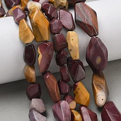 Моокаит Природные mookaite бисер нитей, самородки, граненые, 10~26x8~13x5~8 мм, отверстие : 1 мм, около 18~39 шт / нитка, 15.55~15.94'' (39.5~40.5 см)