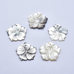 Shell Shell Pendants, Flower, 23~25x2~4mm, Hole: 1mm