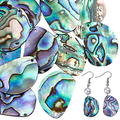 Разноцветный 12шт. подвески из натуральной ракушки пауа, самородки прелести, красочный, 17.5~24.5 мм
