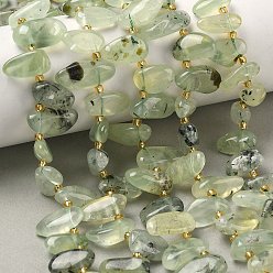 Пренит Природные пренит нитей бисера, слеза, Топ пробуренной, с бисером, 10~28x8~12x4~8 мм, отверстие : 0.9 мм, около 42~44 шт / нитка, 15.16''~15.55'' (38.5~39.5 см)