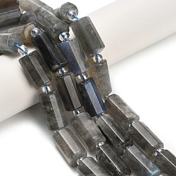 Лабрадорита Природные лабрадорита бисер нитей, колонка, с бисером, граненые, 15.5~17x8~8.5 мм, отверстие : 1.2 мм, около 20 шт / нитка, 15.08'' (38.3 см)