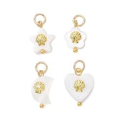 Настоящее золото 18K Подвески из натуральных пресноводных ракушек, с металлическим корпусом в форме раковины и 304 фурнитурой из нержавеющей стали., разнообразные, белые, реальный 18 k позолоченный, 13~15x8.5~11.5x3~4 мм, Перейти кольцо: 5x0.8 мм, внутренний диаметр: 3.3 мм
