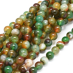 Peacock Agate Природных павлиний агат бисер нитей, два тона, окрашенная и подогревом, круглые, 10~10.5 мм, отверстие : 0.8 мм, около 38 шт / нитка, 14.96 дюйм (38 см)