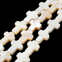 Морская Ракушка Естественных пресноводных оболочки бисер нитей, крестик, цвет морской раковины, 10x8x3 мм, отверстие : 0.8 мм, около 36 шт / нитка, 14.29 дюйм (36.3 см)