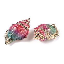 Светло-Вишневый Большие подвески из натуральной ракушки, окрашенные распылением, подвески в форме ракушек с золотистыми железными петлями, светло-вишневый, 60~77x43~50x29.5~33.5 мм, отверстие : 1.6 мм