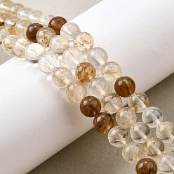 Верблюжий Арбуз камень стеклянные бусы пряди, круглые, верблюжие, 4 мм, отверстие : 0.7 мм, около 96~100 шт / нитка, 15.67~15.91 дюйм (39.8~40.4 см)