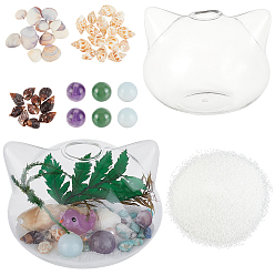 Mixed Color BENECREAT Ocean Them Microlandscape Glass Cat Making Kit, Including Glass Vase, Silica Sands, Shell & Natural Amethyst & Aventurine & Opalite Beads, Mixed Color, Glass Vase: 87x99x81mm, 1Pc/set
