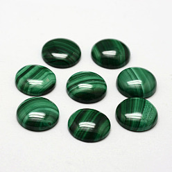 Малахит Природные кабошон малахита, полукруглые / купольные, 14x4~4.5 мм