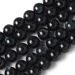Черный Натуральный черный оболочки губ бисер нитей, окрашенные, круглые, чёрные, 10 мм, отверстие : 1 мм, около 39 шт / нитка, 14.96 дюйм (38 см)