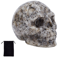 Джаспер Кунжут Хэллоуин натуральный кунжутный яшма украшения для дома, с бархатной сумкой, череп, 38~38.5x32~32.5x49~50 мм, 1шт / сумка