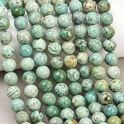 Peruvian Turquoise(Jasper) Бусы натуральная перуанская бирюза (яшма), гладкий круглый, 8.5 мм, отверстие : 0.8 мм, около 45~46 шт / нитка, 15~15.28'' (38.1~38.8 см)