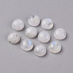 Rainbow Moonstone Кабошоны из натурального радужного лунного камня, полукруглые / купольные, 8x3.5 мм