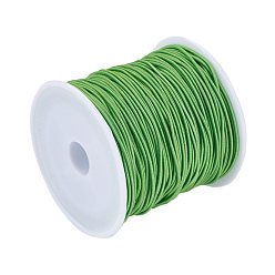 Lime Green Elastic Cord, Lime Green, 1mm, about 22.96 yards(21m)/roll