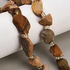 Picture Jasper Natural Picture Jasper Beads Strands, Raw Rough, Nuggets, with Seed Beads, 13~23x12~16x6~13mm, Hole: 1mm, about 11~13pcs/strand, 7.44''(18.9cm)~7.99''(20.3cm)