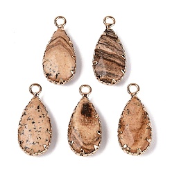 Picture Jasper Natural Picture Jasper Faceted Pendants, Brass Teardrop Bezeled Charms, Golden, 24~25x10.5~11.5x5~5.5mm, Hole: 2mm