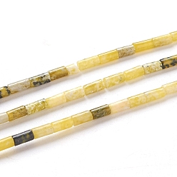 Желтая Бирюза(яшма) Бусы из натуральной желтой бирюзы (яшмы), колонка, 4~5x2.2 мм, отверстие : 0.8 мм, около 85~99 шт / нитка, 15.75 дюйм (40 см)