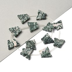 Камень с Зелеными Точками Натуральные зеленые пятна яшмовых нитей, бабочка, с пластиковыми трубчатыми бусинами, 18~19x21~23x4~5 мм, отверстие : 0.6 мм, около 12 шт / нитка, 15.75'' (40 см)