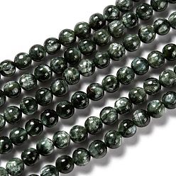 Seraphinite Natural Seraphinite Beads Strands, Round, Grade A, 6mm, Hole: 1mm, about 63pcs/strand, 15.67 inch(39.8cm)