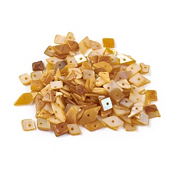 Желтый Стеклянные бусы, окрашенные, чипсы наггетс, темно-золотистые, 6.2~15.2x4.3~7.3x0.4~3.8 мм, отверстие : 1 мм