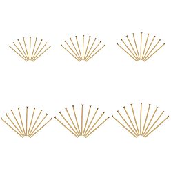 Golden 304 Stainless Steel Flat Head Pins, with Bead Container, Golden, 15.3mm/18.5mm/22mm/30mm/35mm/50mm, Pin: 0.6mm, Head: 1.4mm, about 240pcs/box