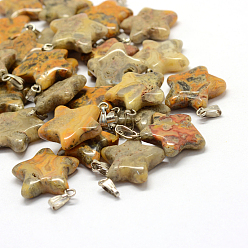 Сумасшедший Агат Звезда окрашенные природные сумасшедшие подвески агата, с латунной фурнитурой платинового цвета, 22~23x20~24x5~7 мм, отверстие : 2x7 мм