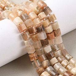 Multi-Moonstone Нити из натуральных бусин из нескольких лунных камней, колонка, с бисером, 9.5~11x5.5~7 мм, отверстие : 1 мм, около 40~47 шт / нитка, 15.75'' (40 см) ~ 15.94'' (40.5 см)