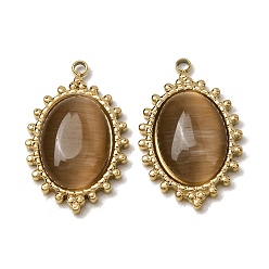 Chameau 303 Pendentifs en acier inoxydable et œil de chat, charmes ovales, placage ionique (ip), plaqué longue durée, or, chameau, 23.5x15x4.5mm, Trou: 1.5mm