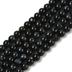 Прусский Синий Нити из натуральных бусин тигрового глаза высшего качества, окрашенная и подогревом, круглые, берлинская лазурь, 6 мм, отверстие : 1.2 мм, около 61~64 шт / нитка, 14.69~15.24'' (37.3~38.7 см)