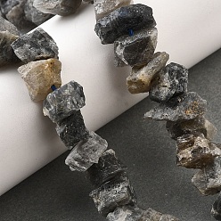 Лабрадорита Природные лабрадорита бисер нитей, необработанный грубый камень, самородки, 7~25x8~24.5x5~16 мм, отверстие : 0.9~1 мм, около 14~28 шт / нитка, 7.48''~8.43'' (19~21.4 см)