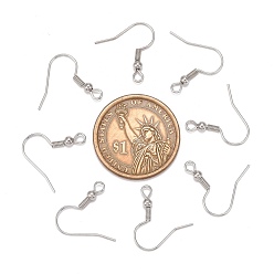 Platinum Iron Earring Hooks, Ear Wire, with Horizontal Loop, Cadmium Free & Nickel Free & Lead Free, Platinum, 17~19x0.8mm, Hole: 2mm, 22 Gauge, Pin: 0.6mm