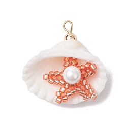 Легкий Лосось Подвески в виде морских звезд и ракушек из бисера в форме цилиндра, подвески в форме ракушки с круглой ракушечной жемчужиной, золотые, светлый померанцевый, 27.5~28x26~27x8.5~11 мм, отверстие : 2 мм