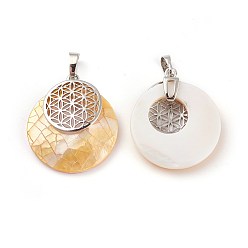 Mixed Shell Natural Mixed Shell Pendants, with Platinum Tone Brass Findings, Flat Round with Flower of Life/Sacred Geometry, 32~32.5x28x7~7.5mm, Hole: 5x8mm