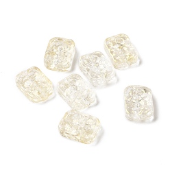 Прозрачный Прозрачные брызги, окрашенные распылением, прямоугольные, прозрачные, 18x13x5.5 мм, отверстие : 1.4 мм