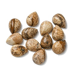 Пейзажный Джаспер Естественная картина яшма кабошоны, слеза, 8x6x3 мм