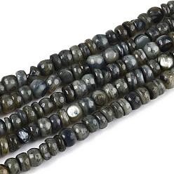 Черный Натуральные пресноводные окрашенные бусы из ракушек, рондель, чёрные, 3~4x1~4 мм, отверстие : 0.9 мм, около 146~152 шт / нитка, 14.76~15.16'' (37.5~38.5 см)