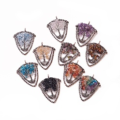 Смешанные камни Натуральный смешанный камень, с латунной фурнитурой , щит, Красная медь, 57~59x47.5x8 мм, отверстие : 5 мм