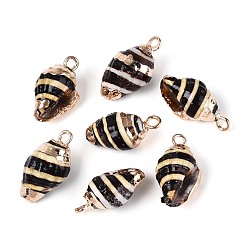 Черный Подвески из натуральных ракушек с гальваническим покрытием, подвески в форме ракушек, с латунной фурнитурой , золотые, чёрные, 16~18x9~10x7~9 мм, отверстие : 1.6~1.8 мм