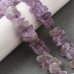 Аметист Природный аметист нитей бисера, необработанный грубый камень, самородки, 7~25x8~24.5x5~16 мм, отверстие : 0.9~1 мм, около 14~28 шт / нитка, 7.48''~8.43'' (19~21.4 см)