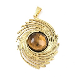 Тигровый глаз Природных тигровый глаз подвески, спиральный овальный глаз 304 подвески из нержавеющей стали, золотые, ионное покрытие (ip), 35.5x26.5x5.5 мм, отверстие : 5x3 мм